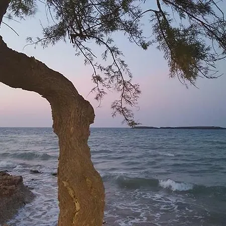 Rossella In Riva Marina 2 سبيكتشيولا